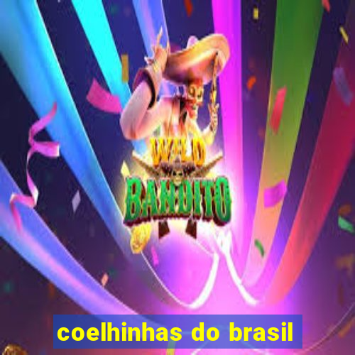 coelhinhas do brasil